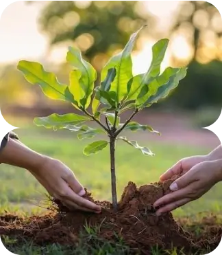 A father and his young son planting a tree together